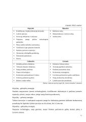 Veiklos rizikos analizė ir valdymas AB “Utenos trikotažas” pavyzdžiu 12 puslapis