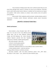 Veiklos rizikos analizė ir valdymas AB “Utenos trikotažas” pavyzdžiu 4 puslapis