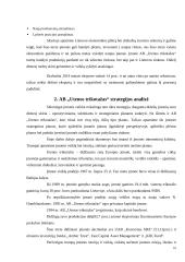 Veiklos rizikos analizė ir valdymas AB “Utenos trikotažas” pavyzdžiu 10 puslapis