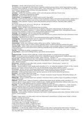 VPU literatūros analizės terminai su paaiškinimais. 2 puslapis
