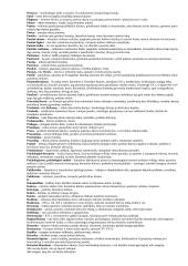 VPU literatūros analizės terminai su paaiškinimais. 11 puslapis