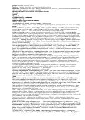 VPU literatūros analizės terminai su paaiškinimais. 15 puslapis