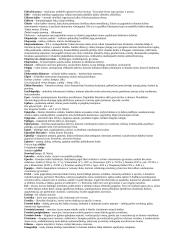 VPU literatūros analizės terminai su paaiškinimais. 4 puslapis