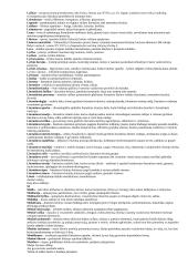 VPU literatūros analizės terminai su paaiškinimais. 8 puslapis