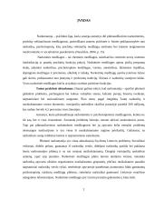 Narkomanija socialinė problema 2 puslapis