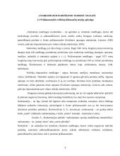 Narkomanija socialinė problema 4 puslapis