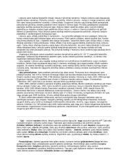 Upės sąvoka ir upių tinklo ypatumai Lietuvoje 2 puslapis