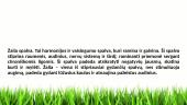 Spalvų reikšmė ir įtaka žmogui 7 puslapis