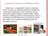 Vaisių ir daržovių mikroorganizmai. Pienarūgštis rūgimas ir jo panaudojimas 11 puslapis