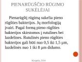 Vaisių ir daržovių mikroorganizmai. Pienarūgštis rūgimas ir jo panaudojimas 17 puslapis