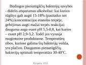 Vaisių ir daržovių mikroorganizmai. Pienarūgštis rūgimas ir jo panaudojimas 18 puslapis