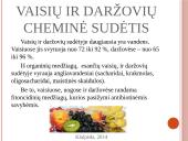 Vaisių ir daržovių mikroorganizmai. Pienarūgštis rūgimas ir jo panaudojimas 5 puslapis