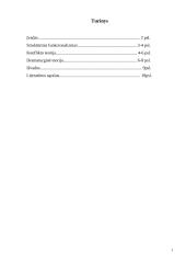 Namų darbas: Gydytojo ir paciento santykis 2 puslapis