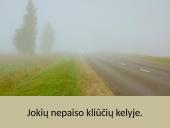 Viljamas Šekspyras 116 sonetas 3 puslapis