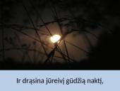 Viljamas Šekspyras 116 sonetas 8 puslapis