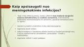 Meningokokas 11 puslapis