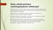 Meningokokas 5 puslapis