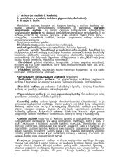 Audinių konspektas 2 puslapis