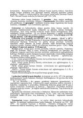 Audinių konspektas 3 puslapis