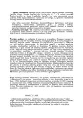 Audinių konspektas 5 puslapis