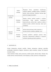 Psichikos ir elgesio sutrikimai dėl medžiagų iš kanapių vartojimo 6 puslapis