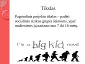 Lietuvos Caritas projektas VDC „Vaikų stotelė“ 3 puslapis