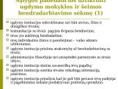 Ugdymo įstaigos ir šeimos bendradarbiavimas 12 puslapis