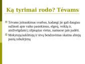 Ugdymo įstaigos ir šeimos bendradarbiavimas 8 puslapis