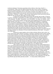 Viešojoje erdvėje diskutuojama apie menkstančią jaunimo pagarbą kalbai 2 puslapis