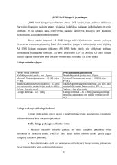 Lizingo kompanijos veikla 12 puslapis