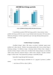 Lizingo kompanijos veikla 14 puslapis