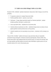 Lizingo kompanijos veikla 3 puslapis