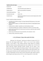 Lizingo kompanijos veikla 10 puslapis