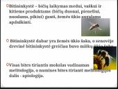Bitininkystė skaidrės 2 puslapis