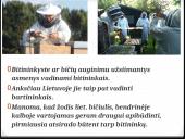 Bitininkystė skaidrės 3 puslapis