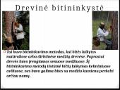 Bitininkystė skaidrės 4 puslapis