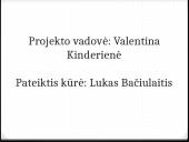 Bitininkystė skaidrės 9 puslapis