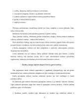 Darbų sauga eksploatuojant laivo energetinius įrenginius 17 puslapis