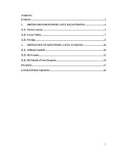 Pasaulyje didžiausių laivų avarijų analizė 2 puslapis