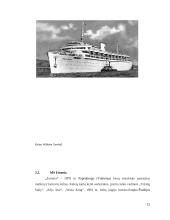 Pasaulyje didžiausių laivų avarijų analizė 12 puslapis