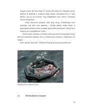 Pasaulyje didžiausių laivų avarijų analizė 14 puslapis