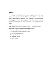 Pasaulyje didžiausių laivų avarijų analizė 3 puslapis