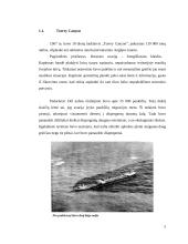 Pasaulyje didžiausių laivų avarijų analizė 5 puslapis