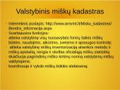 Valstybės registrai, kadastrai ir klasifikatoriai 7 puslapis