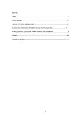 Muitų sąjungų formavimosi pasaulyje raida ir reikšmė tarptautinei prekybai 2 puslapis