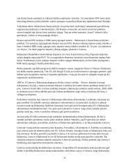 Muitų sąjungų formavimosi pasaulyje raida ir reikšmė tarptautinei prekybai 11 puslapis