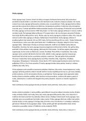 Muitų sąjungų formavimosi pasaulyje raida ir reikšmė tarptautinei prekybai 4 puslapis