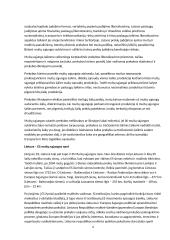 Muitų sąjungų formavimosi pasaulyje raida ir reikšmė tarptautinei prekybai 6 puslapis