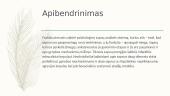 Psichoanalizes prezentacija. S.Froidas ir C. Jungas 20 puslapis