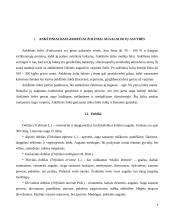 Ankštinių žolių (dobilų, liucernų) selekcijos ypatumai in vitro selekcijos kryptys 4 puslapis